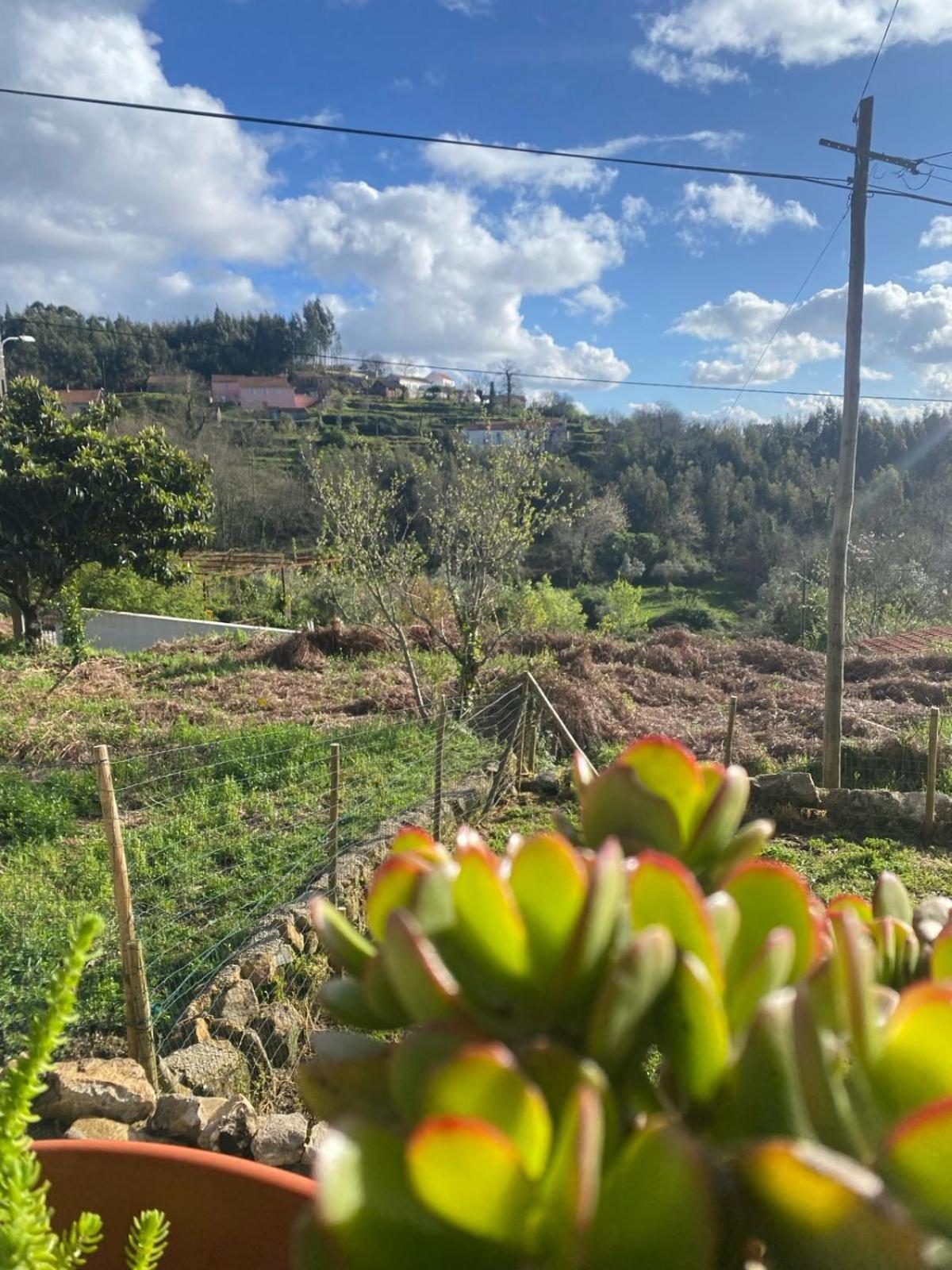 Villa Casa Da Vitoria Penela Esterno foto